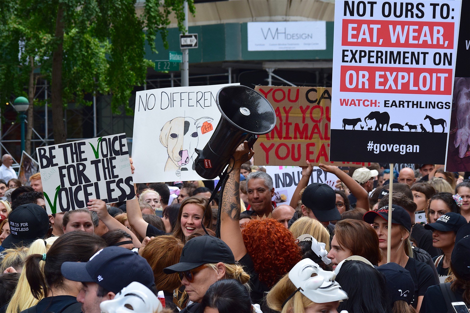 Picture of animal rights activists at a rally. Picture credit: https://pixabay.com/en/rally-march-protest-signs-2712259/