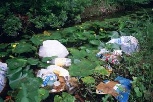 plastic waste and litter floating in lily pond