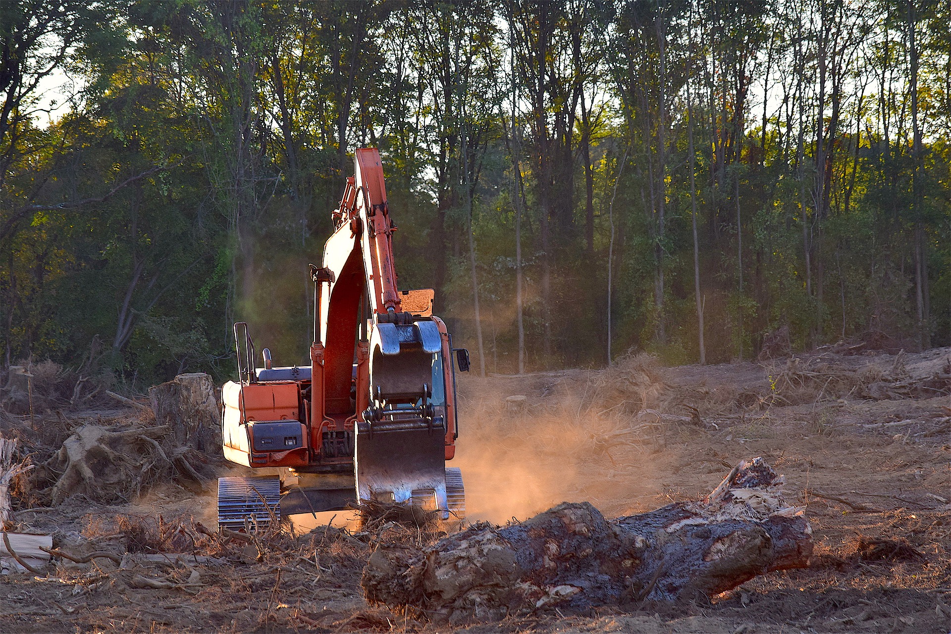 Bulldozer clearing forest