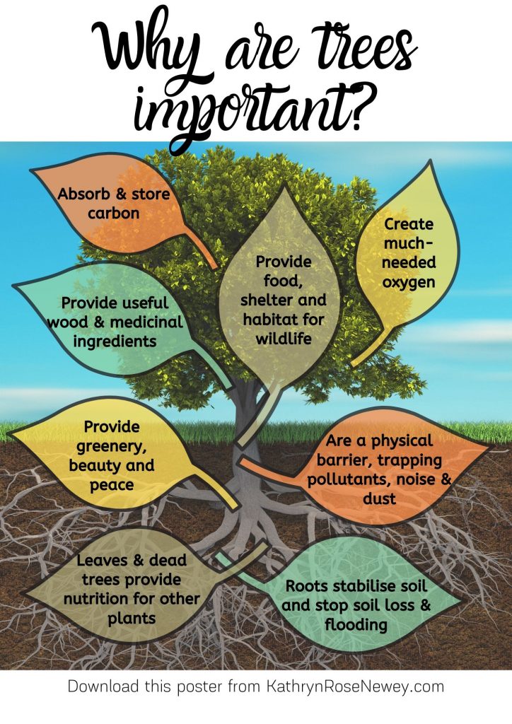 the importance of trees in our daily life