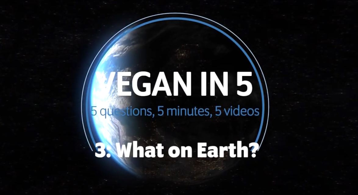 Vegan in 5: Video 3: What's Veganism got to do with the environment?