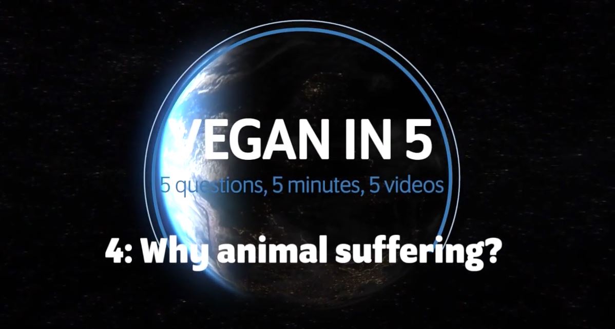 Vegan in 5: Video 4: What about animal suffering?