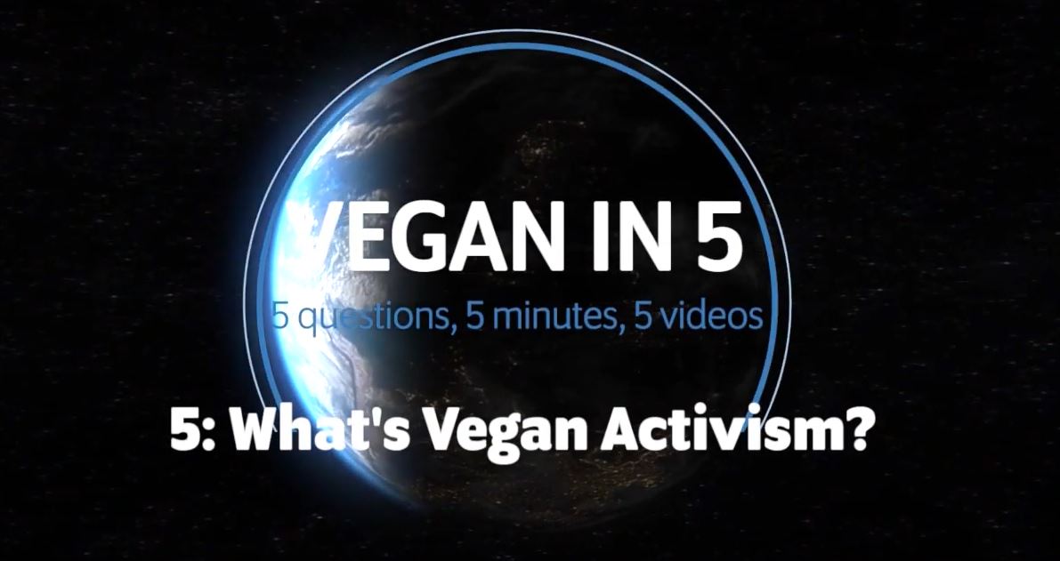 Vegan in 5: Video 5: What's Vegan Activism?