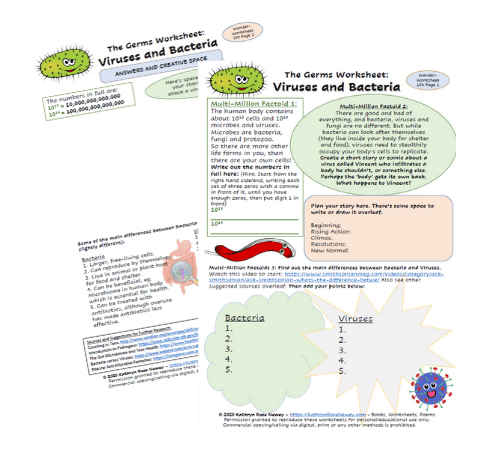 Virus And Bacteria Worksheet