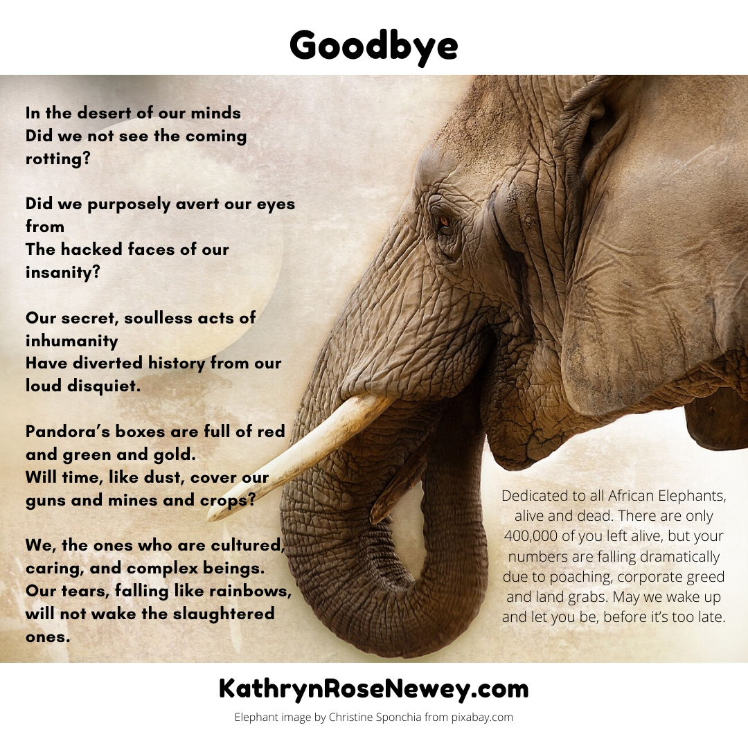 Animal Rights Poetry ~ Kathryn Rose Newey